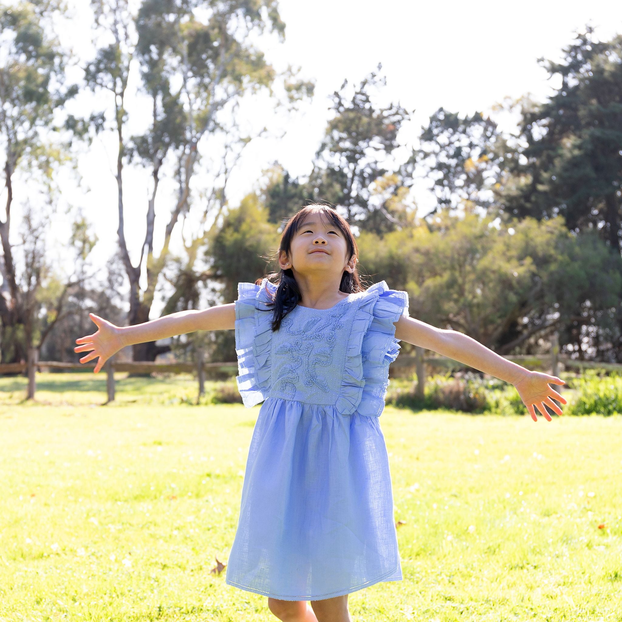 The Luna Blue - Embroidered Linen Dress